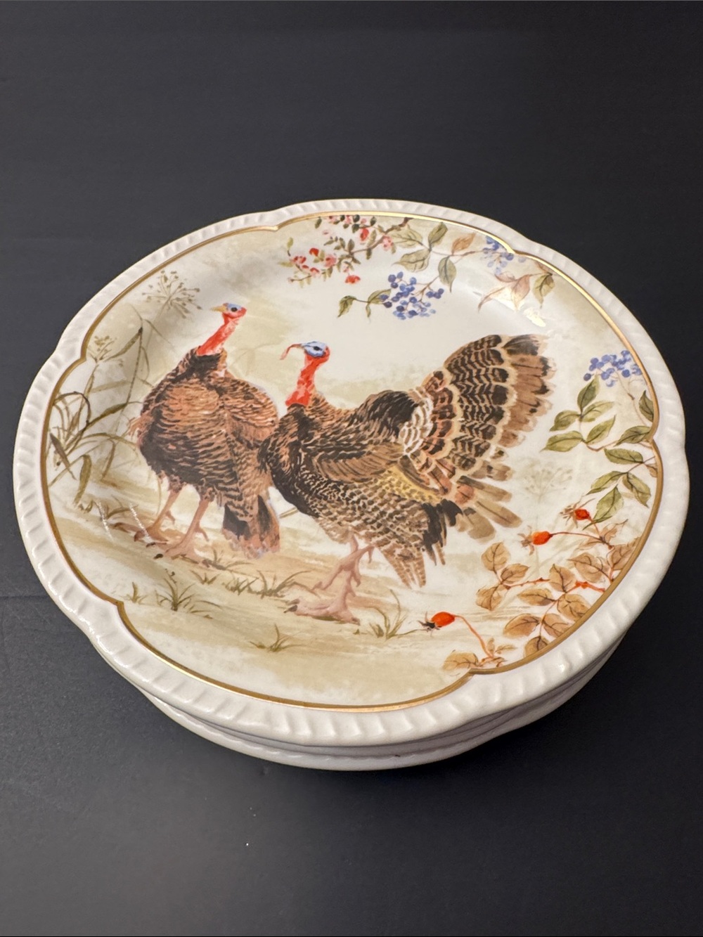 NWOT 4pc Potter's Studio Scalloped Stoneware  Turkey Salad Plates -Gold Accent